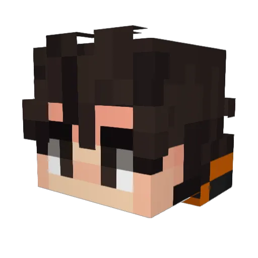 Poxell_ Minecraft avatar head, 3D render