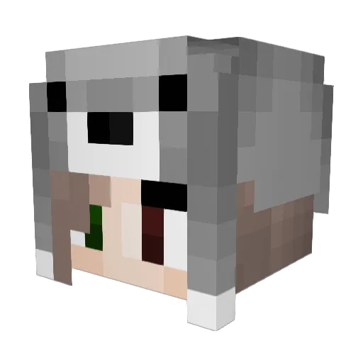 Poxi22 Minecraft avatar head, 3D render