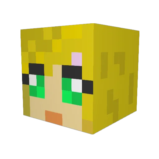 PoyrazSLT Minecraft avatar head, 3D render