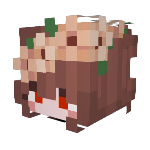 PozF Minecraft avatar head, 3D render