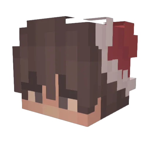 Pozdro0091 Minecraft avatar head, 3D render