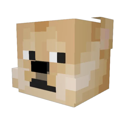 Pozornik777 Minecraft avatar head, 3D render