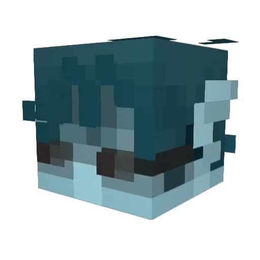 Pozukago Minecraft avatar head, 3D render