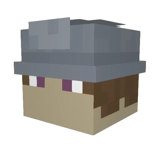 Pozy_ Minecraft avatar head, 3D render