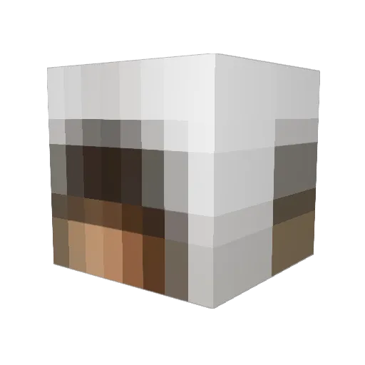 PpaRaPpi Minecraft avatar head, 3D render