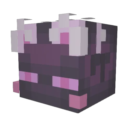 Pplaliens Minecraft avatar head, 3D render