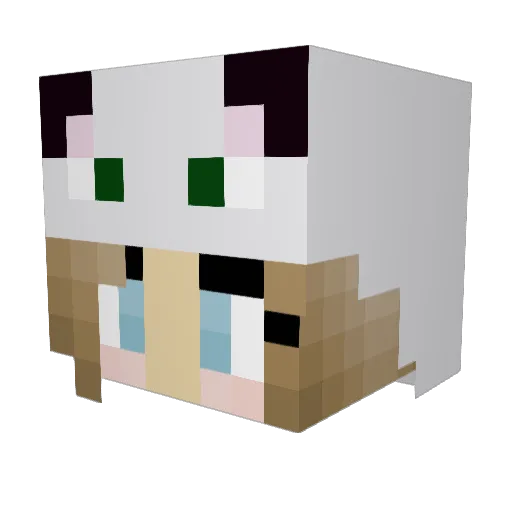 Ppppppppppppanda Minecraft avatar head, 3D render