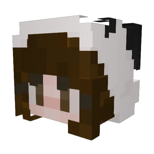 Ppr2021 Minecraft avatar head, 3D render