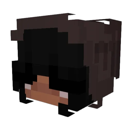 Pqcifier Minecraft avatar head, 3D render