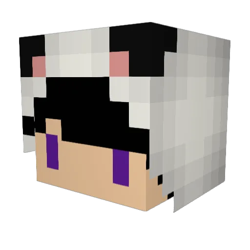 Pqnddq Minecraft avatar head, 3D render