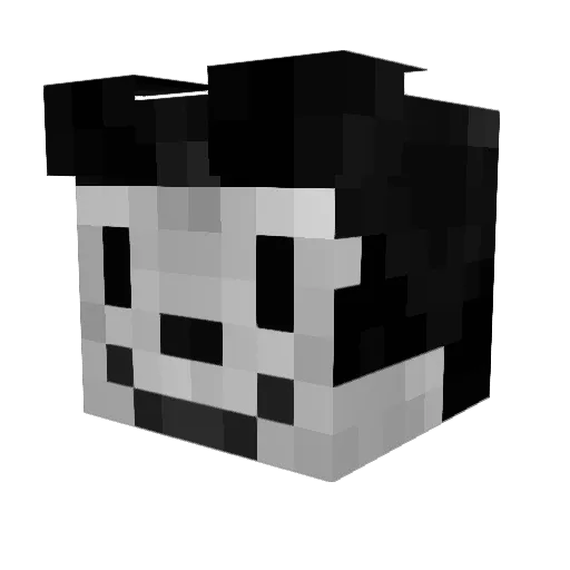 Pqt4toid3 Minecraft avatar head, 3D render