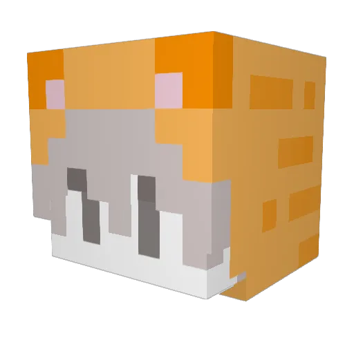 Pqvel Minecraft avatar head, 3D render