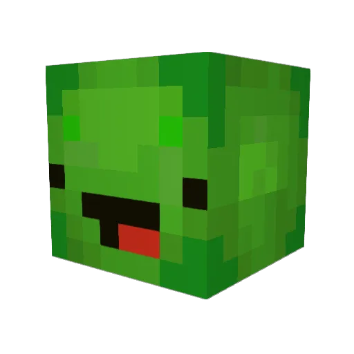 Pr0TurtleJ Minecraft avatar head, 3D render