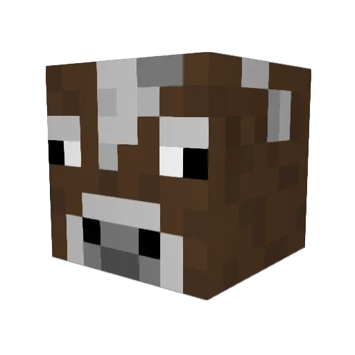 Pr0gamer2011 Minecraft avatar head, 3D render