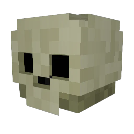 Pr0lez Minecraft avatar head, 3D render