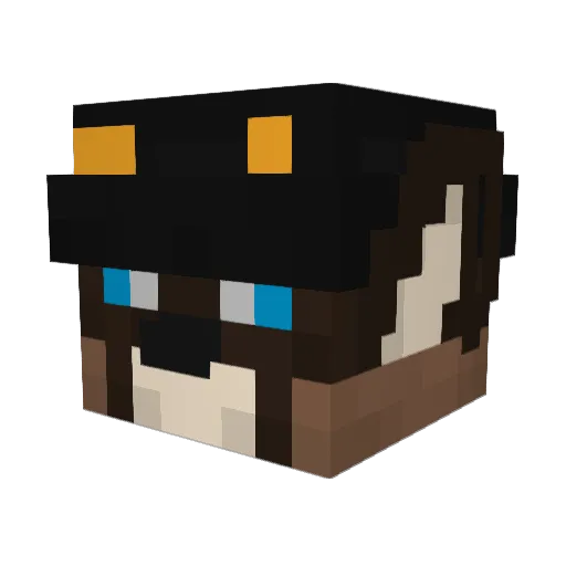 Pr0stHetiKs Minecraft avatar head, 3D render