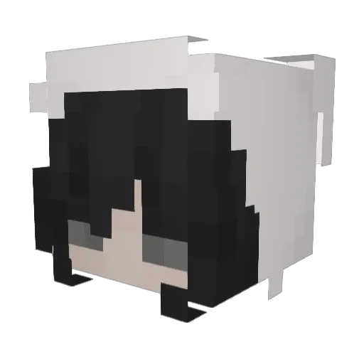 Pr1ncessBubbles Minecraft avatar head, 3D render