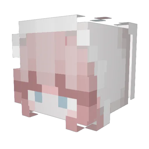 Prabbykatty Minecraft avatar head, 3D render