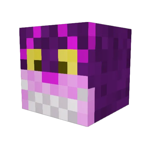 PracticallyAFK Minecraft avatar head, 3D render