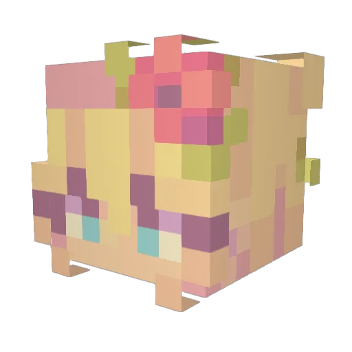 Practicaloon Minecraft avatar head, 3D render