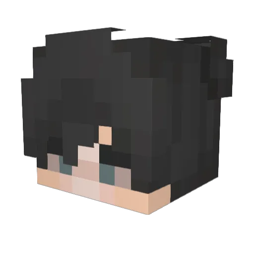 PradyunPlayzz Minecraft avatar head, 3D render
