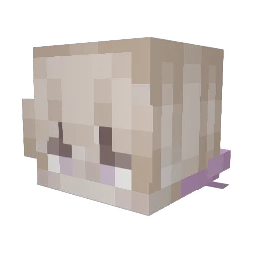 Praefactus Minecraft avatar head, 3D render