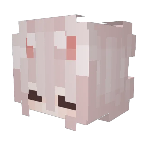 Praffes Minecraft avatar head, 3D render