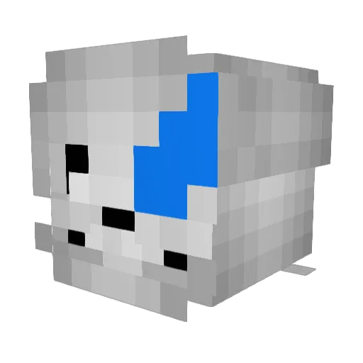 Pragha Minecraft avatar head, 3D render