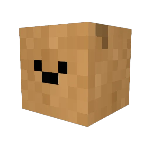 Prairi3 Minecraft avatar head, 3D render