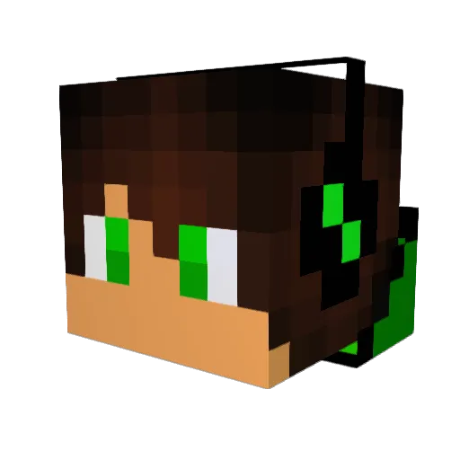 PraisePlayz Minecraft avatar head, 3D render