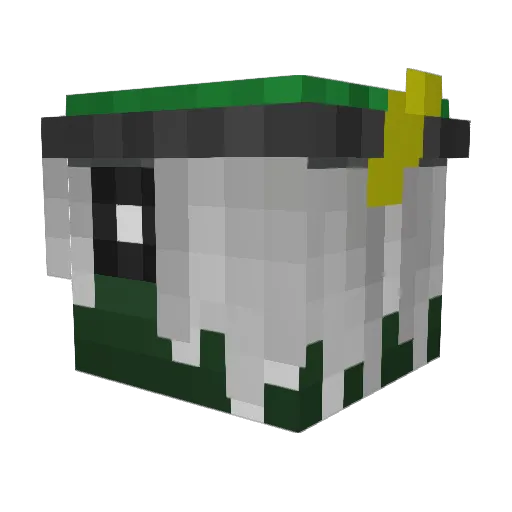 PraisedBeScrubby Minecraft avatar head, 3D render
