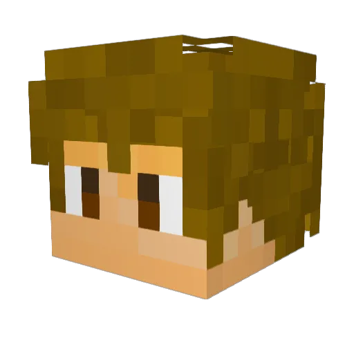 PraisedEMP Minecraft avatar head, 3D render