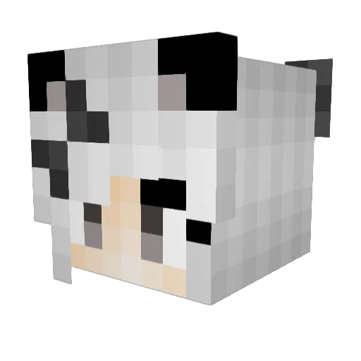 Prajna1274 Minecraft avatar head, 3D render