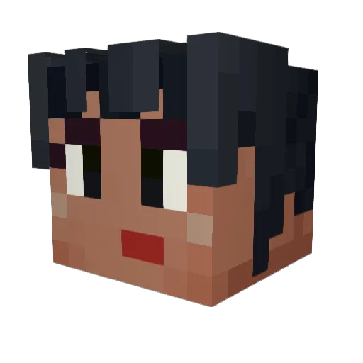 Prakhar13 Minecraft avatar head, 3D render