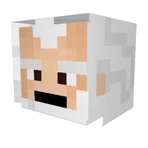Prakti Minecraft avatar head, 3D render
