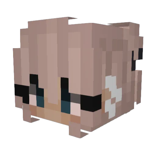 PralienchenLP Minecraft avatar head, 3D render
