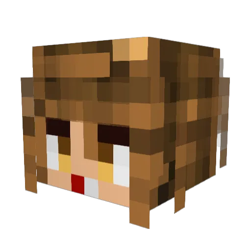 Praline70 Minecraft avatar head, 3D render