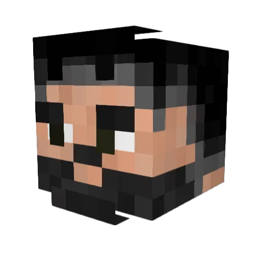 Pralka_asus69 Minecraft avatar head, 3D render