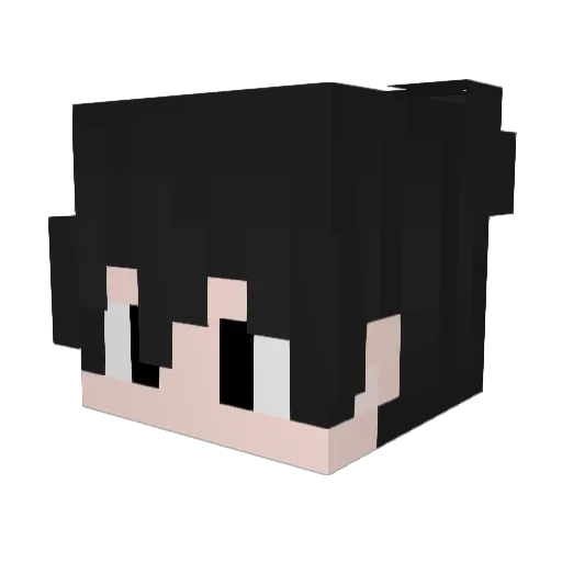 Pramkun_50 Minecraft avatar head, 3D render
