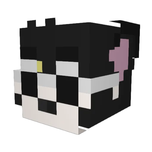 Prana0621 Minecraft avatar head, 3D render