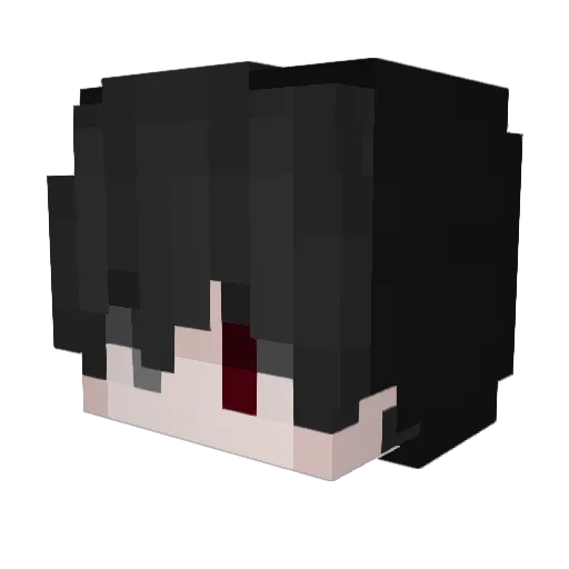 Pranav0110 Minecraft avatar head, 3D render