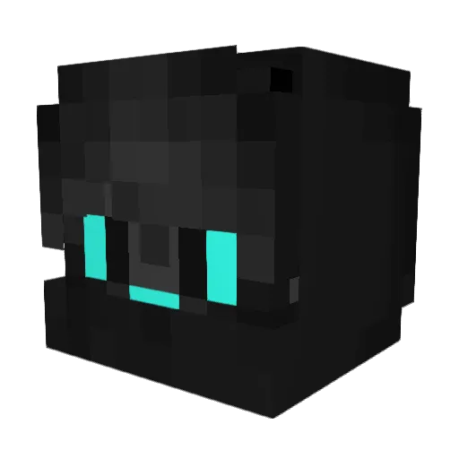 PrankRider3791 Minecraft avatar head, 3D render