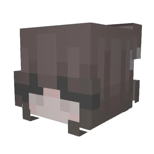 Pranna Minecraft avatar head, 3D render