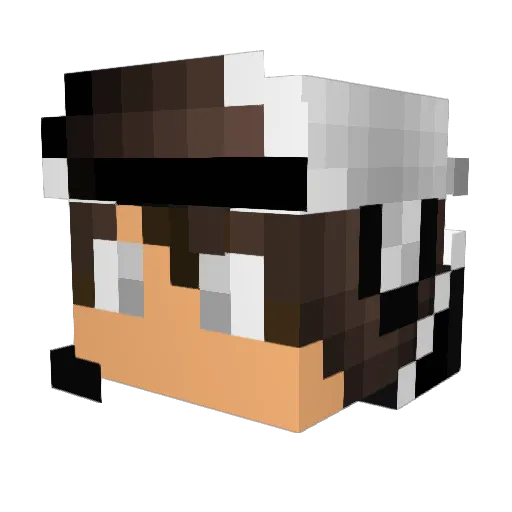 Prascha2440 Minecraft avatar head, 3D render