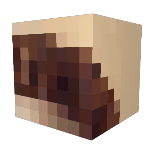 Prattapus2000 Minecraft avatar head, 3D render