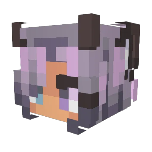 Praxic_Fire_ Minecraft avatar head, 3D render
