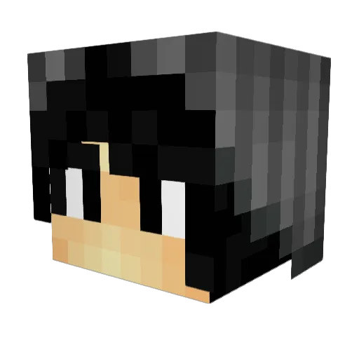 PrayForPlaguess Minecraft avatar head, 3D render