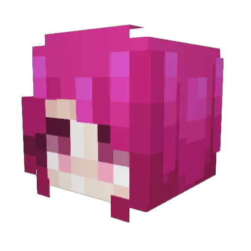 PrayedCarrot276 Minecraft avatar head, 3D render