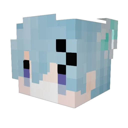 PrayingFrost Minecraft avatar head, 3D render