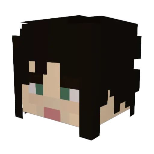 Prbs12 Minecraft avatar head, 3D render